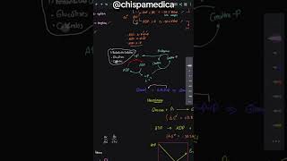 Bioenergetica y ATP [upl. by Janyte]