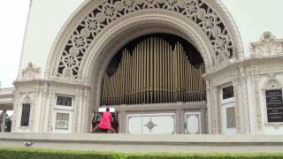 Easter Organ 2011 [upl. by Devondra92]