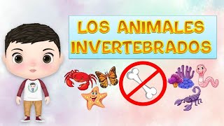 Los ANIMALES INVERTEBRADOS y su clasificacion para niños [upl. by Reta]