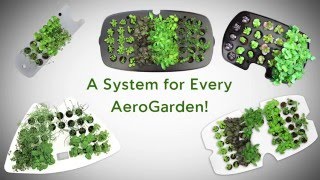 AeroGarden Seed Starting Systems [upl. by Bedell]