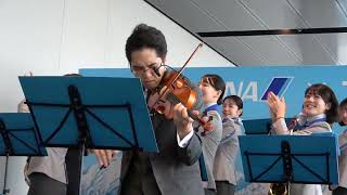 情熱大陸 （ 葉加瀬太郎） ANA TEAM HND Orchestra [upl. by Lough]