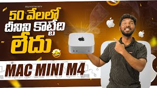 Watch This Before Buying Mac Mini M4 2024 [upl. by Jariah973]