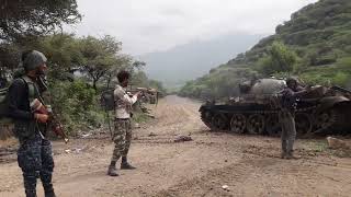 Tigray Defense Forces TDF  ናይ ትግራይ ፍሉይ ሃይሊ ታንኪ ክማርኩ ከለዉ [upl. by Jordans]