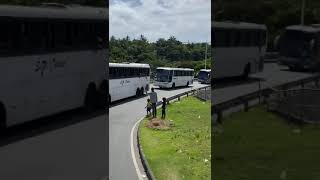 As caravanas não param  Por titi da vilamadalena  vitoria x sccp chegada salvador bahia 🦅 [upl. by Ayik]