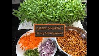 How to cook MICROGREENS  Microgreens Recipes  High Protein Instant Breakfast  Weightloss Recipes [upl. by Airom]