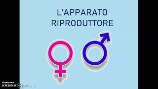 Lapparato riproduttore [upl. by Emery]