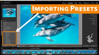 How to Import Lightroom Presets [upl. by Teryn]