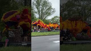 FLOWER PARADE 2024 Live footage recording around Keukenhof  Amsterdam Tulip Festival 2024 Part 2 [upl. by Anilem]