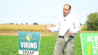 Viking 392AP Alfalfa for WholeField Yield [upl. by Ledba538]