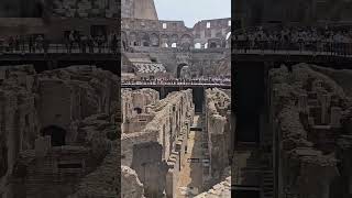 Colosseo 🇮🇹 colosseo roma italy shorts [upl. by Kcyrred]