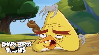 Angry Birds Toons 3 Ep 2 Sneak Peek  quotBad Hair Day” [upl. by Wrightson727]