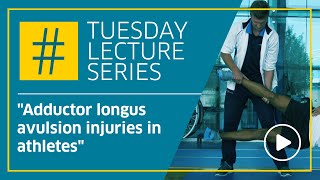 Adductor longus avulsion injuries in athletes [upl. by Correna]