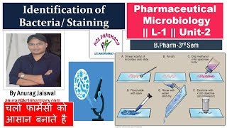 Staining amp Its Types  Simple Staining Method  L1 Unit2 Microbiology [upl. by Harrison]