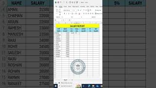 Salary report kaise banaye excel me  computer coaching classes micanujsir [upl. by Suivatnom336]