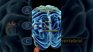 QUIZ CONOCE TU CEREBRO MARAVILLOSO [upl. by Eseerehs]