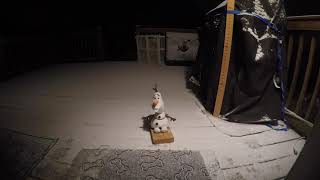 Blizzard time lapse 19 inches of snow in 30 seconds [upl. by Nwad]