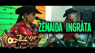 Zenaida Ingrata  En Vivo [upl. by Nemsaj]