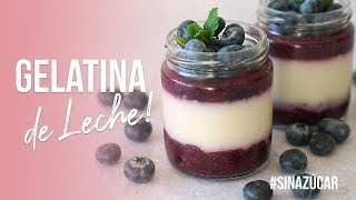 Gelatina de Leche SIN AZÚCAR muy fácil  Reto21díasceroazúcar  Auxy [upl. by Nitnilc]