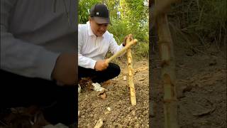 Worm Charming worms fyp diy lifehacks experiment [upl. by Oelc]