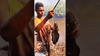 River fishing big snackhed fish mancing fishing garonger [upl. by Tyrrell643]