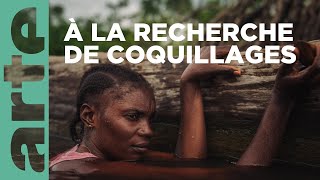 Plongée au coeur du delta du Congo  360° Reportage  ARTE Family [upl. by Amyaj812]