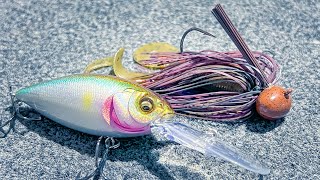 Top 5 Baits For January Bass Fishing [upl. by Anhcar]