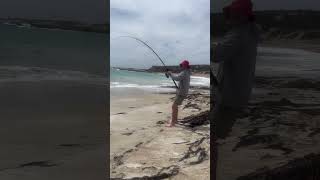 Beach fishing in southaustralia explore [upl. by Nealy]