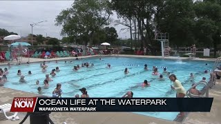 A trip to the Wapakoneta WaterPark can be whats needed to beat the heat [upl. by Aihsatan740]