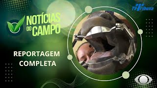 ODONTOLOGIA EQUINA PAUDALHO PGM NOTÍCIAS DO CAMPO N104 271024 [upl. by Ayikur]