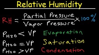 Relative Humidity  Dew Point Vapor amp Partial Pressure Evaporation Condensation  Physics [upl. by Leod]