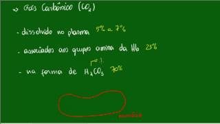 Sistema Respiratório  Reações da Hematose  Aula 2 [upl. by Bac]