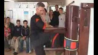 UCT™ Yong Chun Training Impressions Sifu Benno Westra amp Pele [upl. by Ahsieyn230]