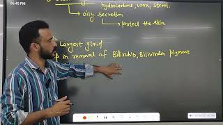 excretory products and their elimination part 4 biology class 11th ncert solutions [upl. by Ellora]