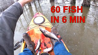 60 FISH IN 6 MINUTES W YOYO [upl. by Richmal]