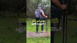 അട്ട കടിച്ചാൽ എന്ത് ചെയ്യണം  Leech bite  Forest Trekking trawild leech bite shorts [upl. by Zuleika]