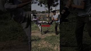 Mma kick combo I🥷🦈martialarts mma taekwondo kickboxing boxing l hookkick jab martialarms [upl. by Ajet]