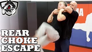 How to Escape a Standing Rear Choke w Bas Rutten [upl. by Fox257]