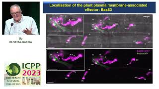 ICPP2023 Molecular aspects of plantfungal interactions [upl. by Sesmar]