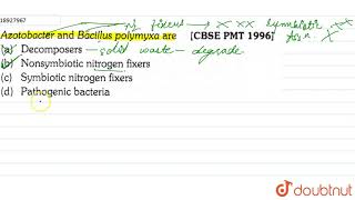 Azotobacter and Bacillus polymyxa are [upl. by Emmerie]