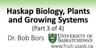 Haskap Biology Plants and Growing Systems Part 3 of 4 [upl. by Siri]