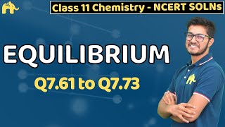 Equilibrium Class 11 Chemistry  Chapter 7 Ncert Solutions Questions 6173 [upl. by Loleta]