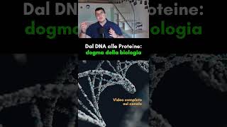 Dal DNA alle Proteine il dogma della biologia molecolare [upl. by Damarra]