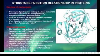 Chymotrypsin a proteolytic enzyme [upl. by Nohtanhoj]