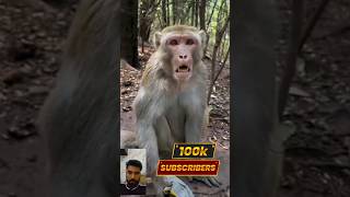 manky video funny manky video 😁🤡🤡manky manky video funny animal entertainment funny [upl. by Auberon]