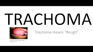 Ophthalmology 076 a Trachoma What is Chlamydial Trachomatis Conjunctivitis [upl. by Yeldoow]