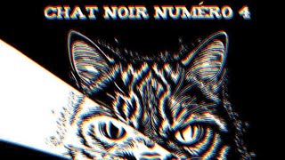 CHAT NOIR NUMÉRO 4  Vendetta dâme Prod wilkibeats [upl. by Notyal879]