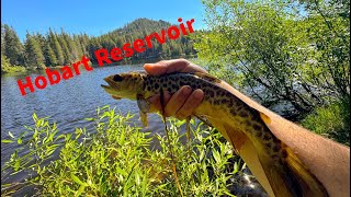 Hobart Reservoir Trout Fishing Catch N Cook [upl. by Nnil459]