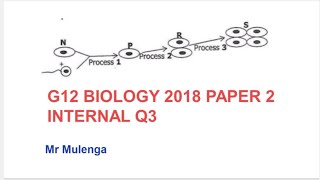 G12 BIOLOGY 2018 PAPER 2 INTERNAL Q3 [upl. by Yentiw]