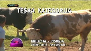 RISONJA DUMANOV I KRILONJA VELJKA TOMICA STRICICI 2016 KOCICEV ZBOR [upl. by Adlai]