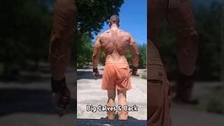 Big Calves and Back  Workout In Description [upl. by Auka]